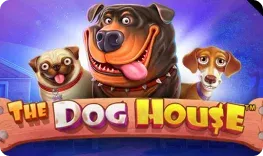 Palmslots – The Dog House